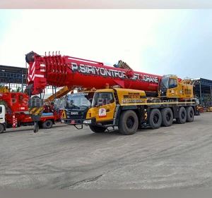 Crane 250 ton
